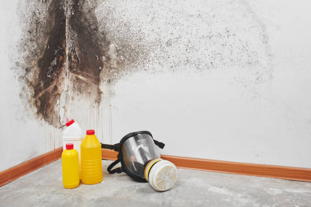 Best Mold Testing  in Moundsville, WV
