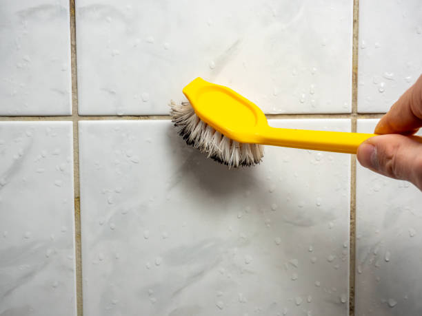 Certified Mold Removal in Moundsville, WV