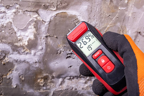 Best Toxic Mold Removal  in Moundsville, WV
