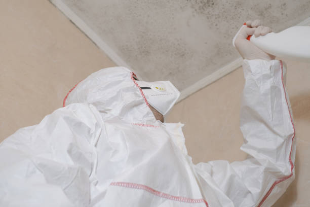 Best Mold Testing  in Moundsville, WV